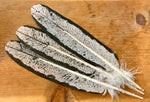 Imitation Hand Painted Eagle Feathers