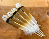 Imitation Hand Painted Eagle Feathers