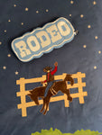 Rodeo Pillows~ Denim