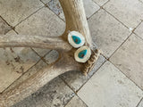 Antler and Turquoise Cab Earrings