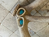 Antler and Turquoise Cab Earrings