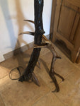 Driftwood Red Stag Floor Lamp